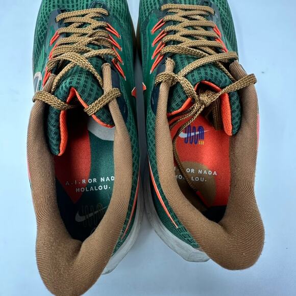 Nike x Hola Lou Air Zoom Pegasus 39 A.I.R. Men\'s 11 D09500-300 Green Running main image 13